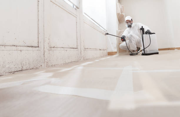 24/7 Emergency Attic Mold Remediation experts in Newport, KY